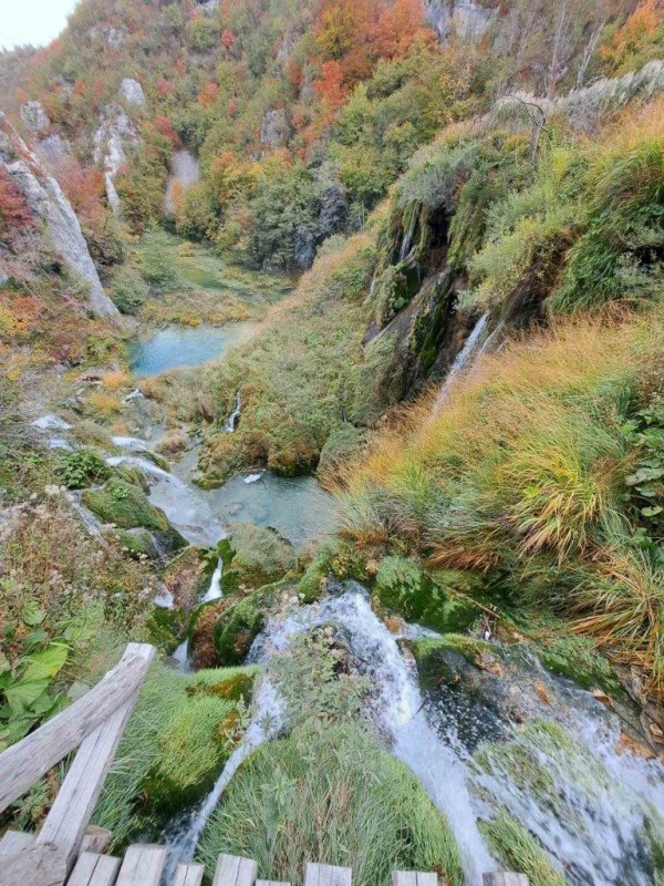 foto/ckp2310_-9-_23.10.2025-YNM1F8ZQA45XN9CWG501