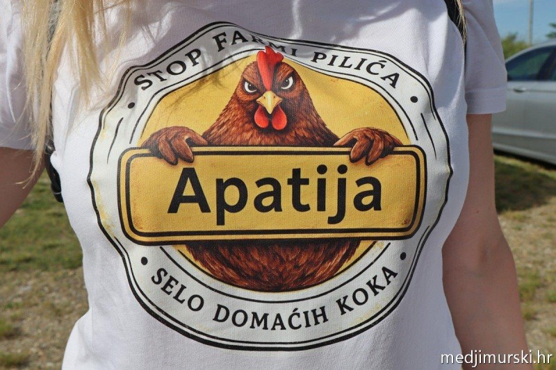 foto/dsnt0506_-19-_5.6.2026-TVNTG70SP669HAOJKNA5