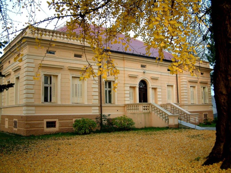 foto/dzdtvlja_24.3.2020