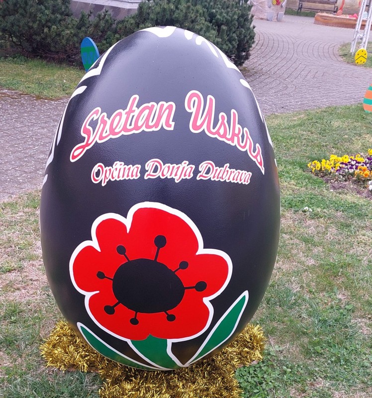 foto/jajce vuzem23