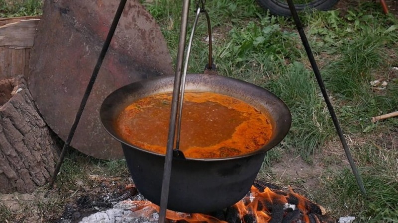 foto/kotlic0507