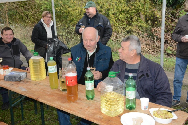 foto/martinje_2023_-24-_11.11.2023-S0YQ3UC3Q6YRHV6EZFNW