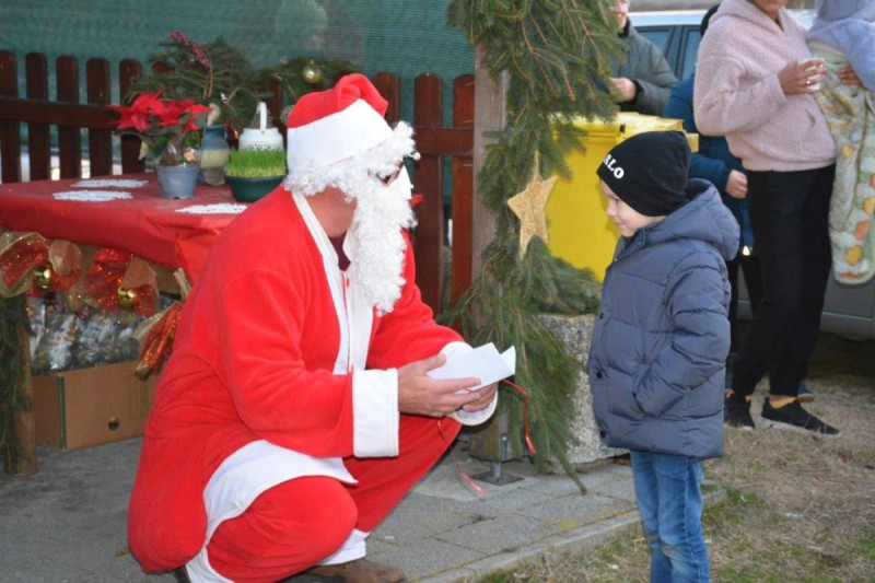 foto/nikola