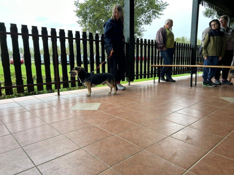 foto/om0310_-16-_3.10.2023-39MF09ICXRMFEC64RAH0