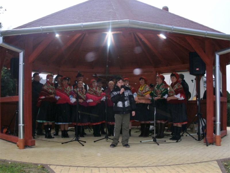 foto/sumarton2013a