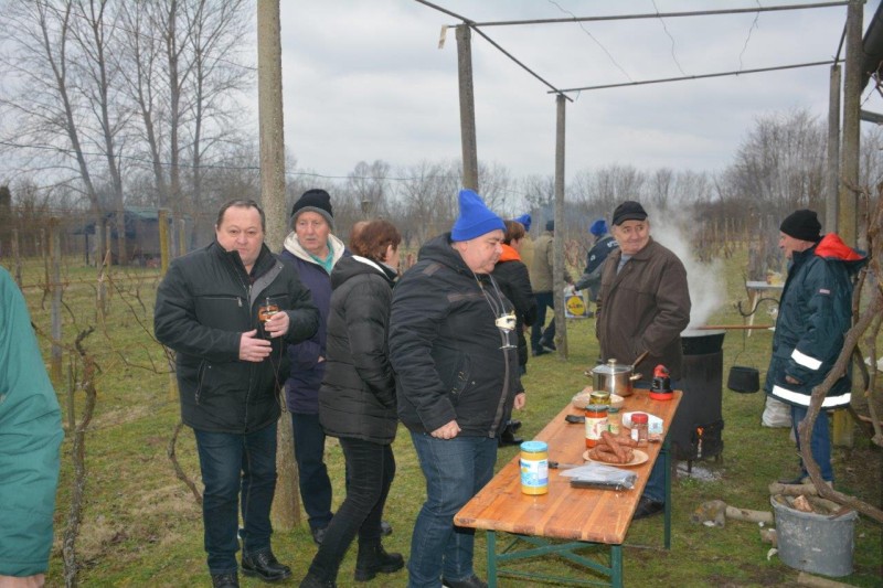 foto/vinc2801_-10-_28.1.2023-0JVKZ5OEWCGDJ6ZSECD9